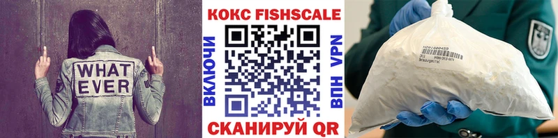 Cocaine Fish Scale  мега ссылки  Зарайск 
