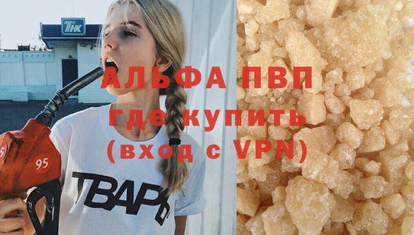 гашик Михайловск