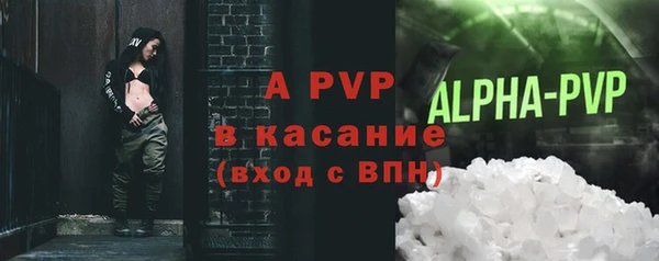 гашик Михайловск