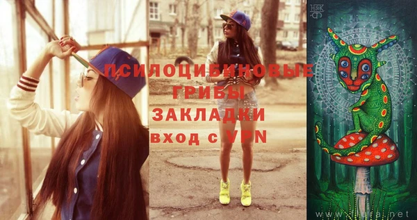 гашик Михайловск