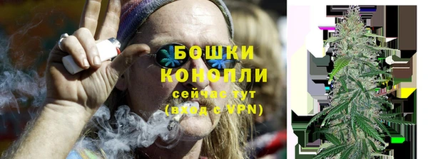 гашик Михайловск