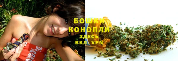 гашик Михайловск