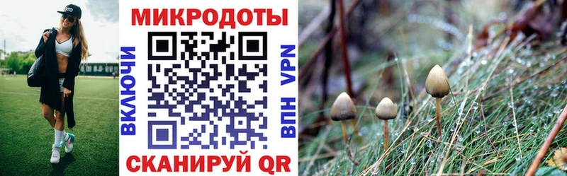 OMG зеркало  где купить наркоту  Зарайск  Псилоцибиновые грибы Psilocybe 